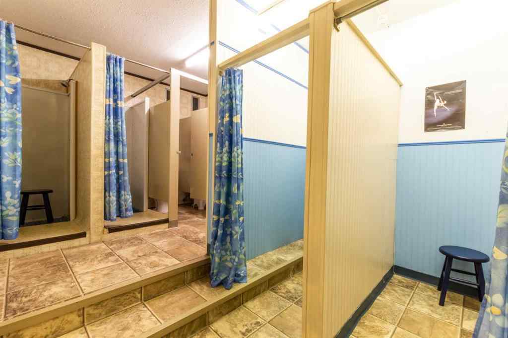 MLS® A2142005 - 4814 49 Street  in Downtown East Stettler, Commercial