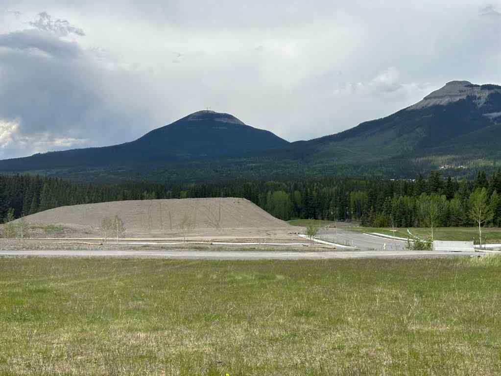 MLS® A2142172 - 304 ELIZABETH Avenue  in NONE Nordegg, Land