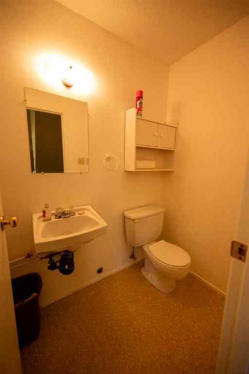 MLS® A2142312 - 5110 50 Avenue  in Provost Provost, Commercial