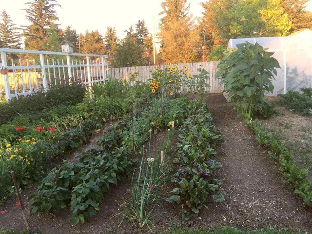 MLS® A2142829 - 608 Rogers Avenue  in NONE Picture Butte, Residential