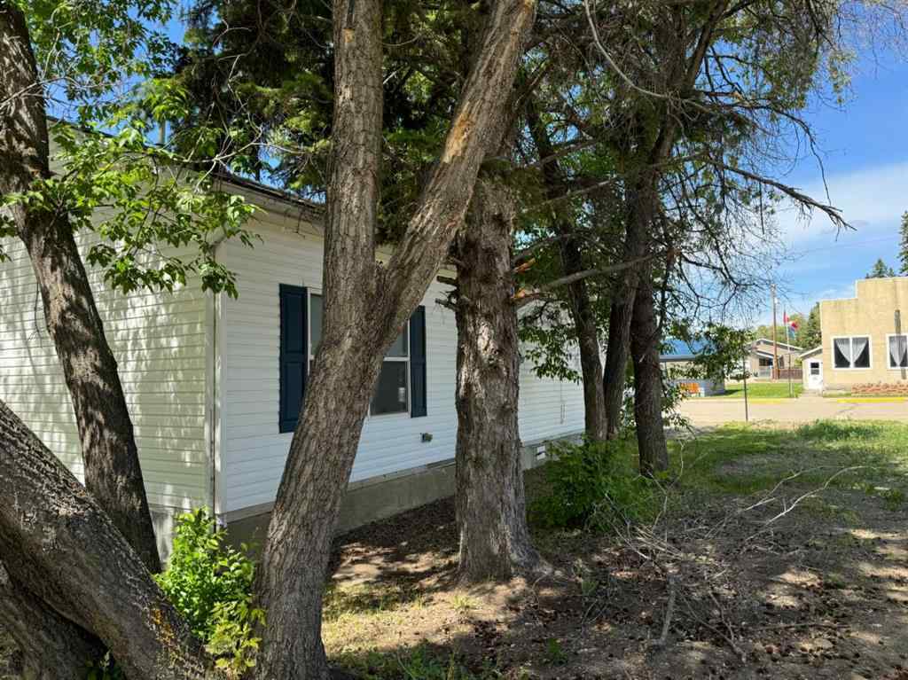 MLS® A2145842 - 5023 50 Avenue  in Breton Breton, Commercial