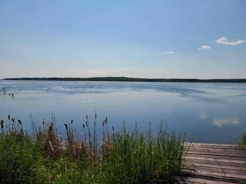 MLS® A2147295 - Unit #Lot #8 70539 Rng Rd. 250   in  Rural Greenview No. 16, M.D. of, Residential