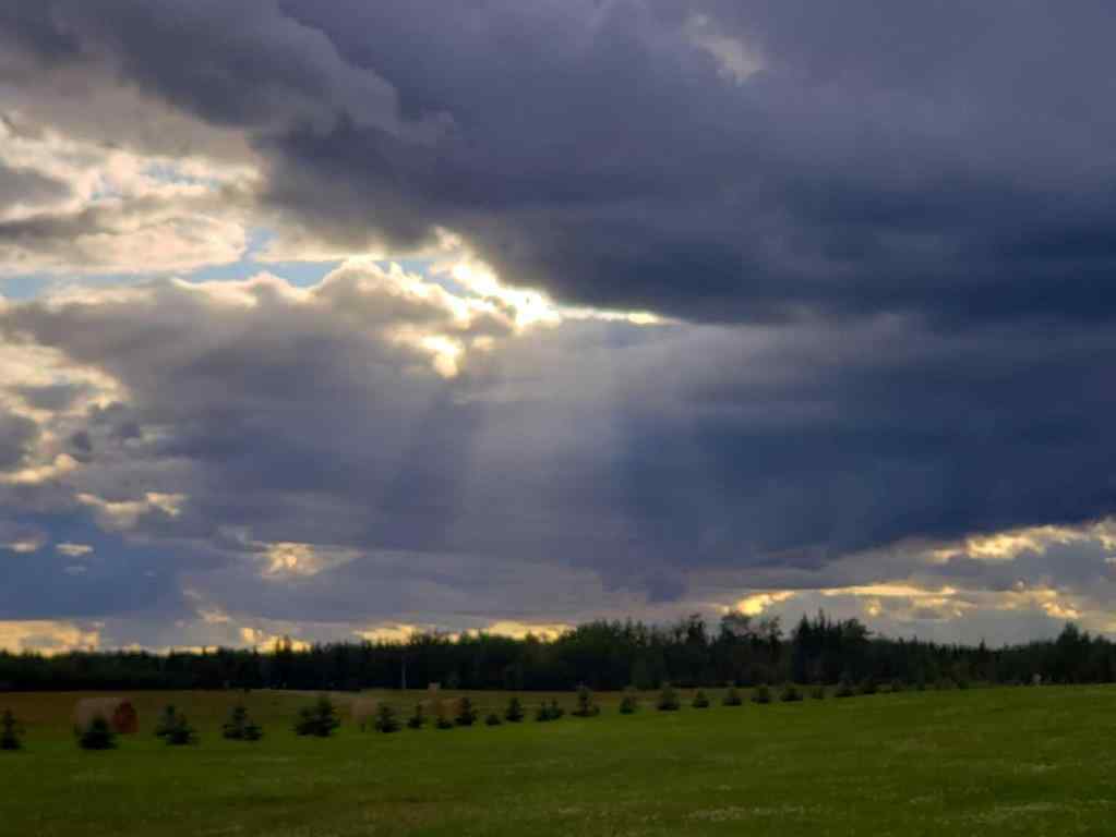 MLS® A2147295 - Unit #Lot #8 70539 Rng Rd. 250   in  Rural Greenview No. 16, M.D. of, Residential