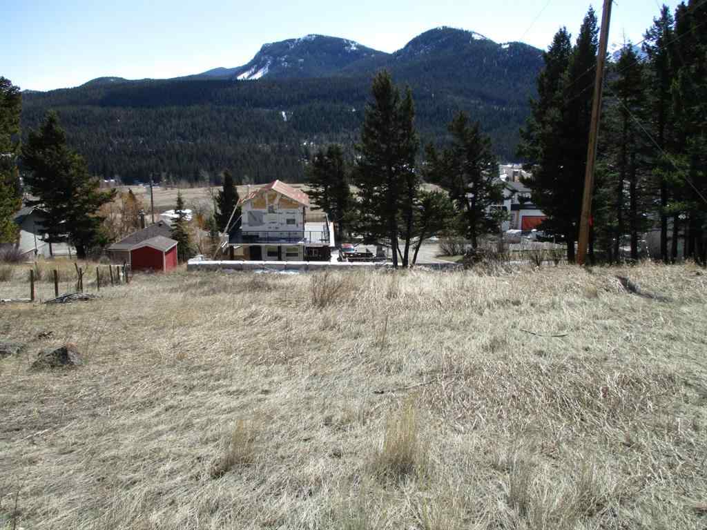 MLS® A2148304 - 6502 24 Avenue   in NONE Coleman, Land