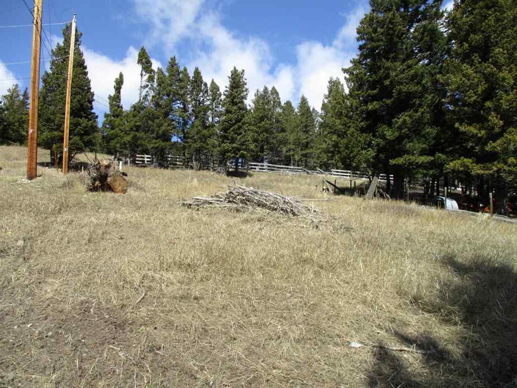 MLS® A2148304 - 6502 24 Avenue   in NONE Coleman, Land