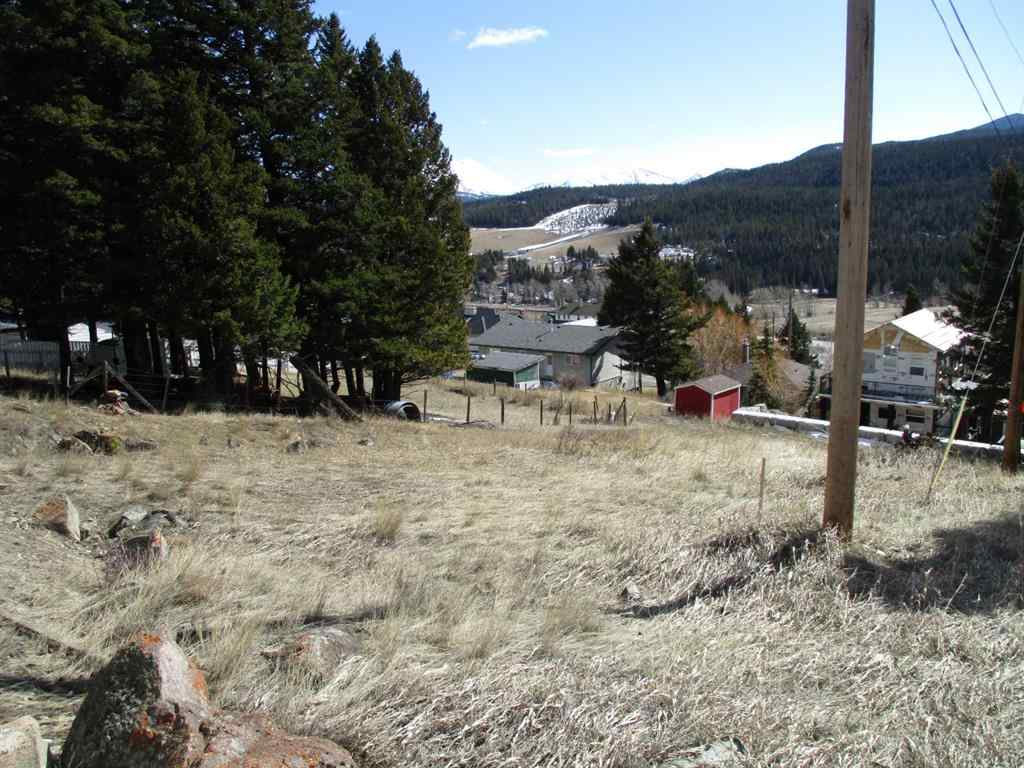 MLS® A2148304 - 6502 24 Avenue   in NONE Coleman, Land