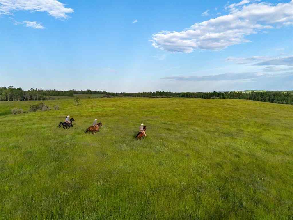 MLS® A2148503 - Scott Lake Ranch   in NONE Rural Rocky View County, Agri-Business