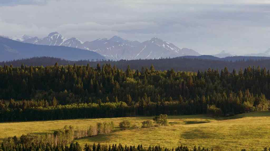 MLS® A2148503 - Scott Lake Ranch   in NONE Rural Rocky View County, Agri-Business