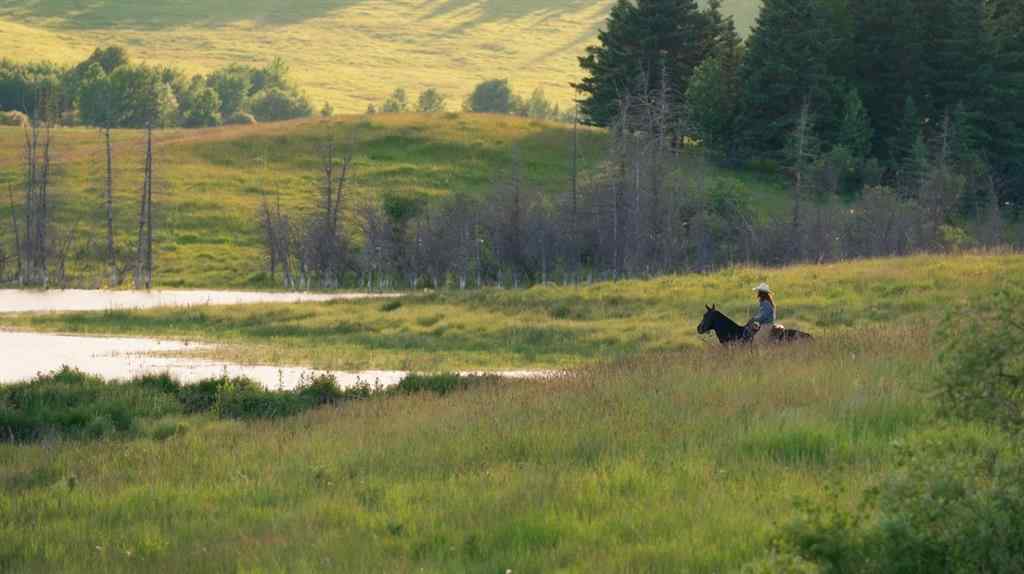 MLS® A2148503 - Scott Lake Ranch   in NONE Rural Rocky View County, Agri-Business