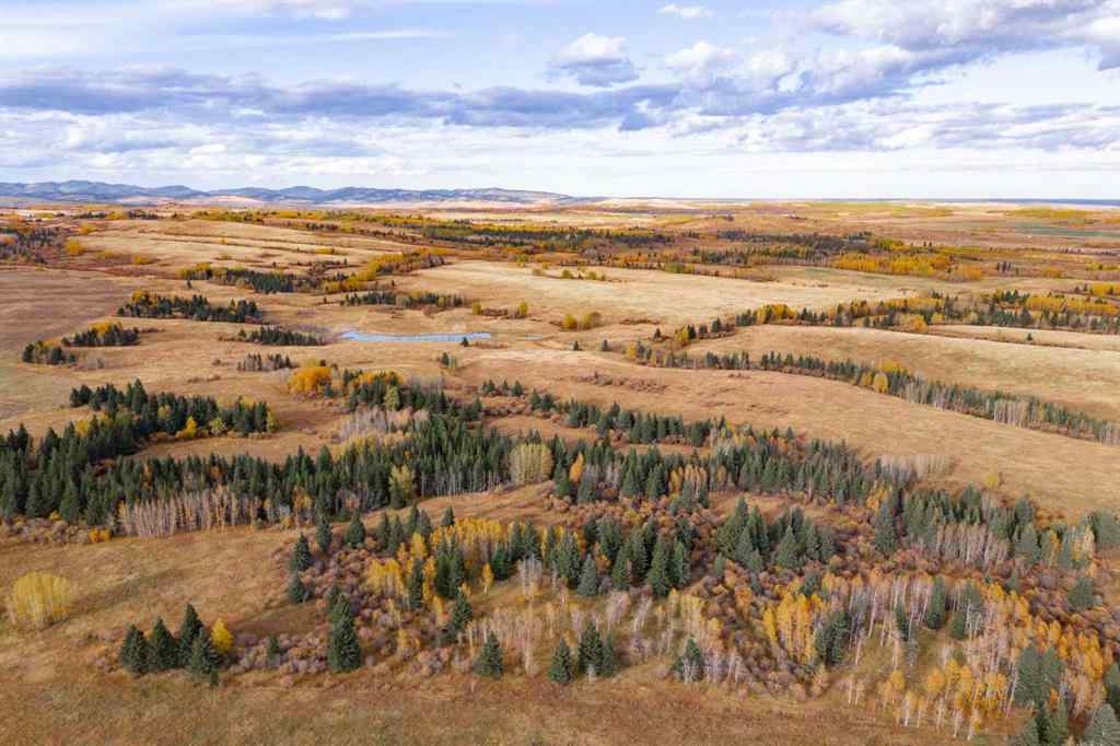 MLS® A2148503 - Scott Lake Ranch   in NONE Rural Rocky View County, Agri-Business