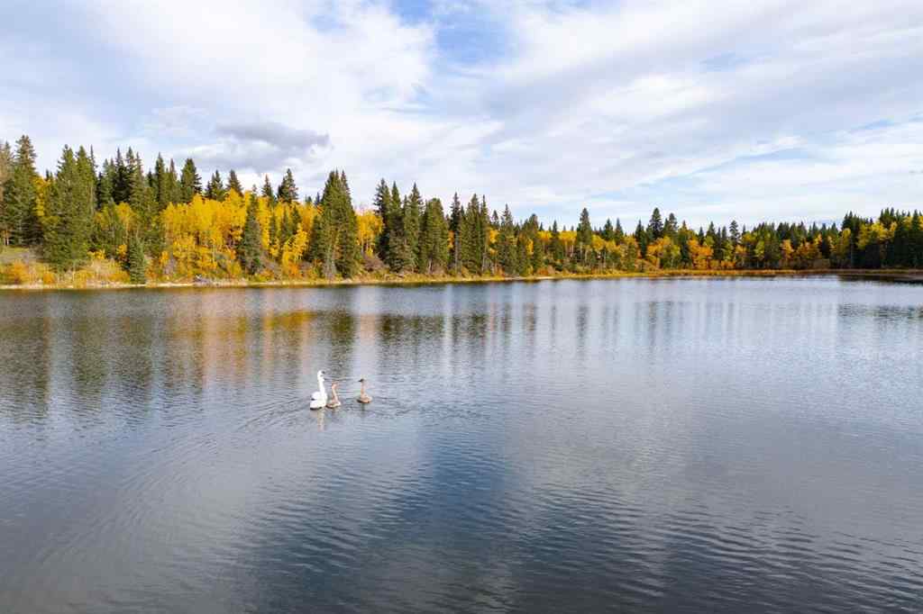 MLS® A2148503 - Scott Lake Ranch   in NONE Rural Rocky View County, Agri-Business