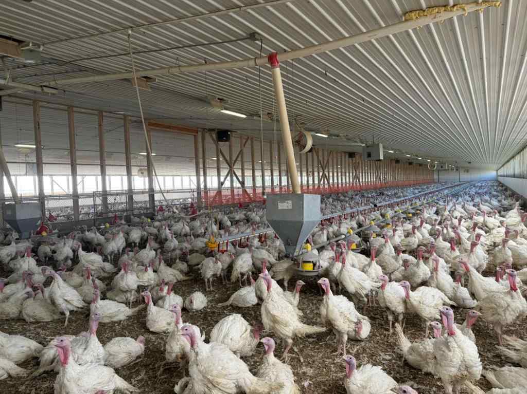 MLS® A2149884 - 21351 TWP 443   in NONE Ferintosh, Agri-Business