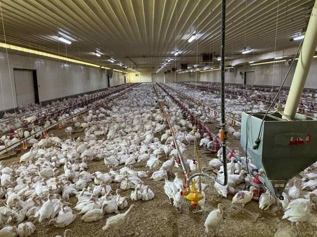MLS® A2149884 - 21351 TWP 443   in NONE Ferintosh, Agri-Business
