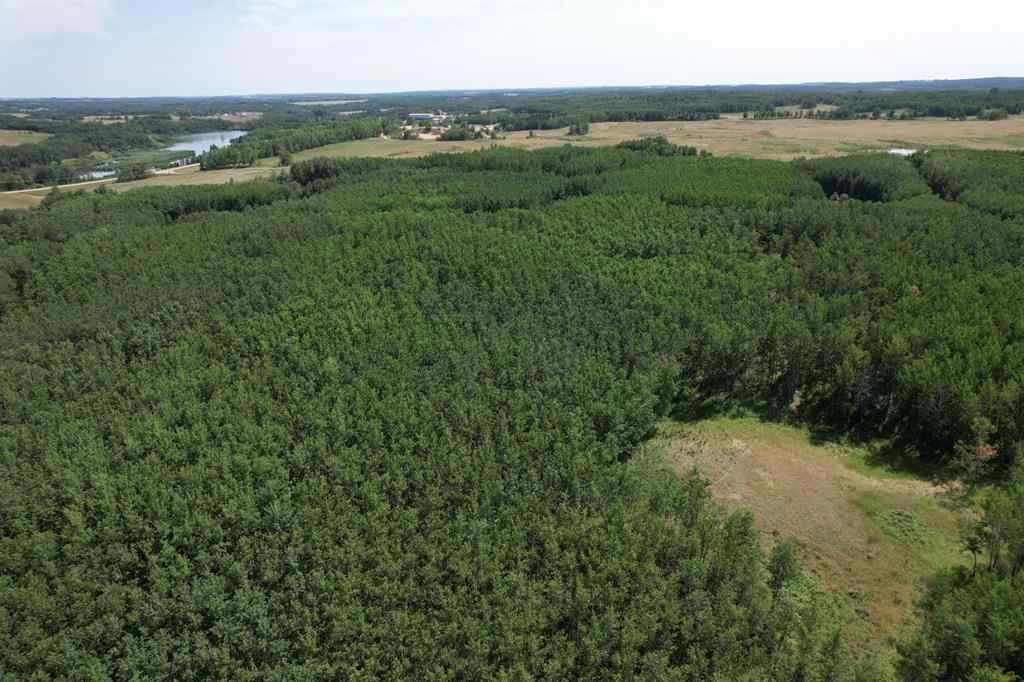 MLS® A2155823 -  On Hwy 816   in NONE Rural Red Deer County, Land