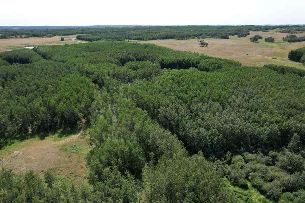 MLS® A2155823 -  On Hwy 816   in NONE Rural Red Deer County, Land