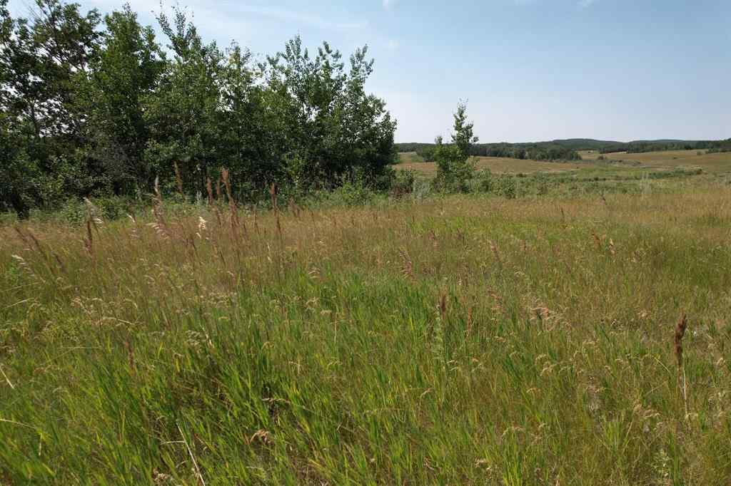 MLS® A2155823 -  On Hwy 816   in NONE Rural Red Deer County, Land
