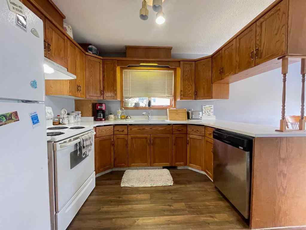 MLS® A2156535 - 107 Assiniboine Drive  in NONE Swan Hills, Residential