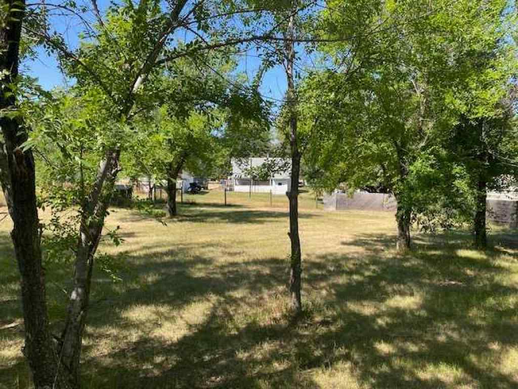 MLS® A2157129 - 5305 51 Street  in NONE Edgerton, Residential
