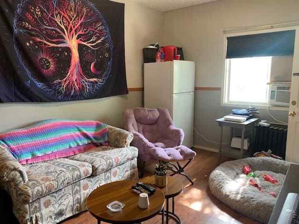 MLS® A2157445 - 221 Centre Street  in NONE Tilley, Commercial