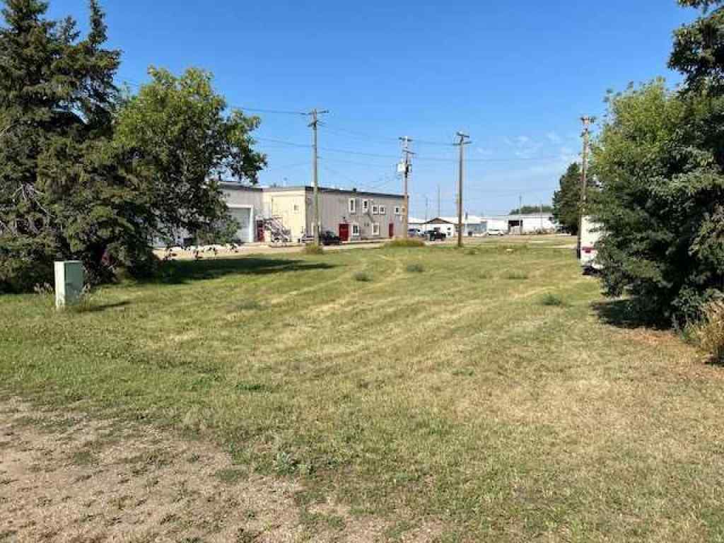 MLS® A2158416 - 4604 49th Street   in Bashaw Bashaw, Land