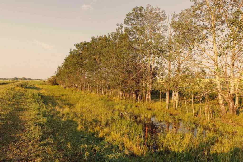 MLS® A2158857 - Parcel 8 Range Road 271 just south of Highway 9.   in NONE Rural Rocky View County, Land