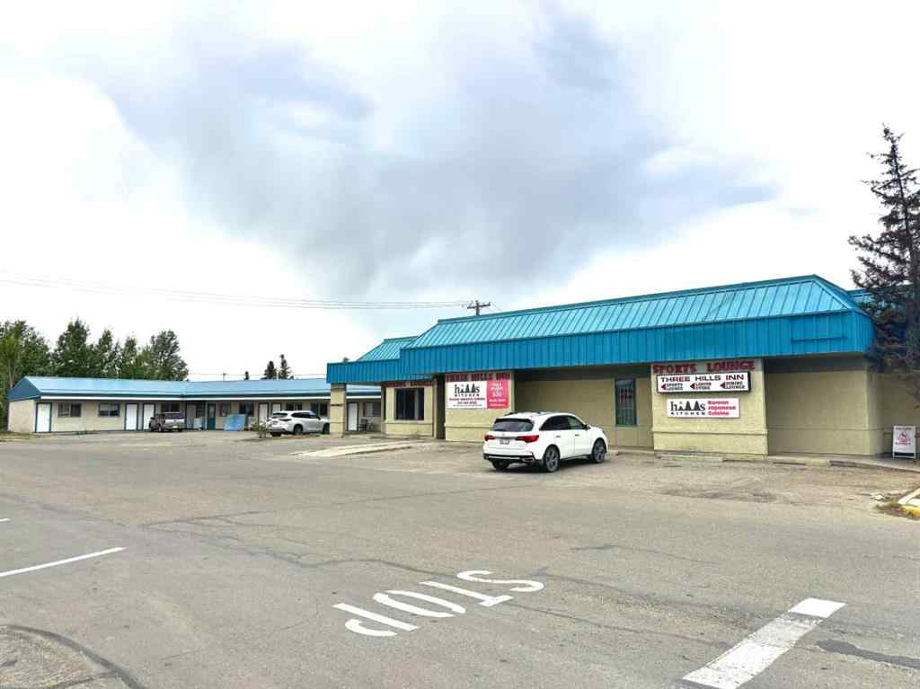 MLS® A2159933 - 309 Main Street  in NONE Three Hills, Commercial