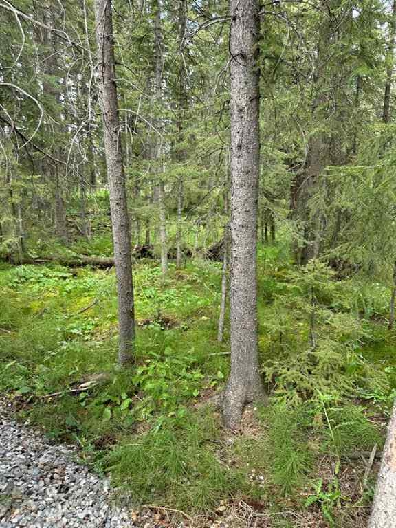 MLS® A2160576 - Unit #197 200 4th Avenue SW in NONE Sundre, Residential
