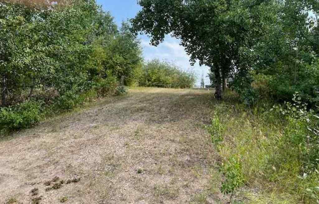 MLS® A2160902 - 33 Sunset Lane  in Buffalo Sands Rural Stettler No. 6, County of, Land