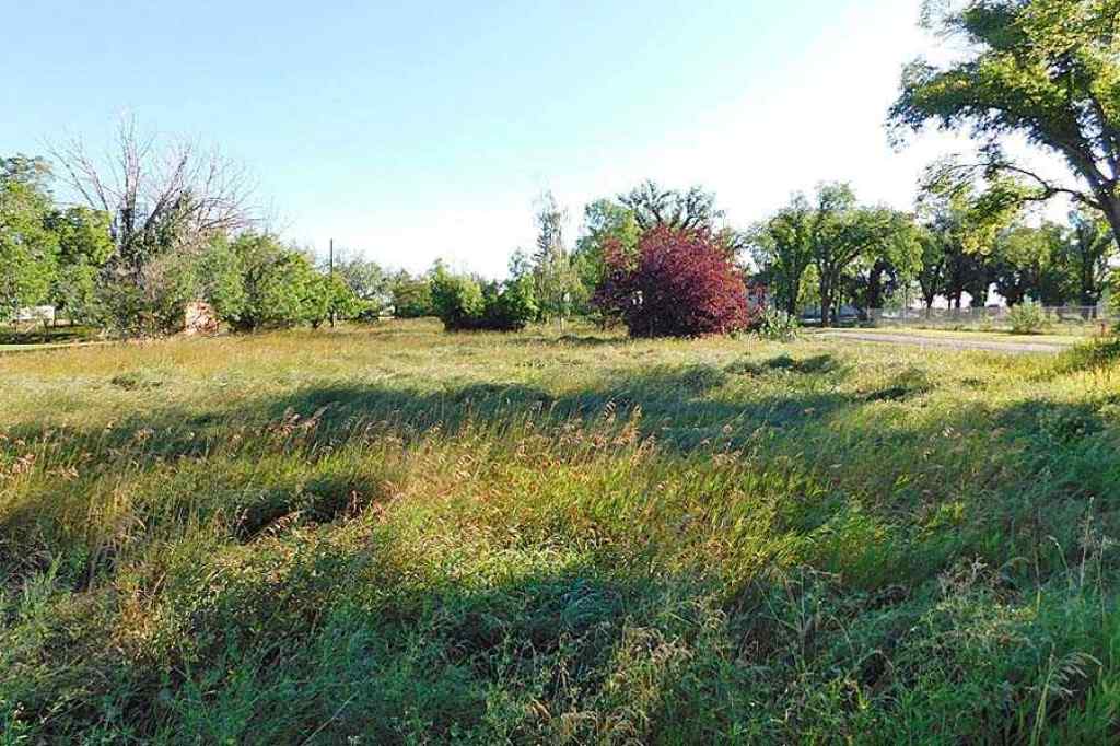 MLS® A2161425 -  Tigermoth Crescent NE in NONE Rural Willow Creek No. 26, M.D. of, Land
