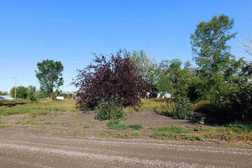 MLS® A2161425 -  Tigermoth Crescent NE in NONE Rural Willow Creek No. 26, M.D. of, Land