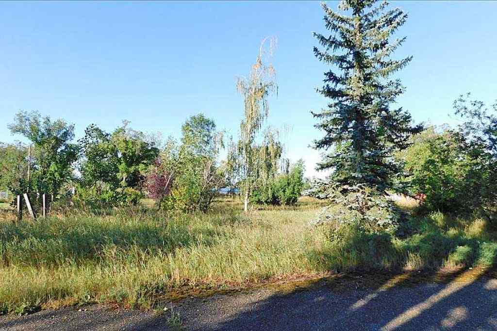 MLS® A2161425 -  Tigermoth Crescent NE in NONE Rural Willow Creek No. 26, M.D. of, Land
