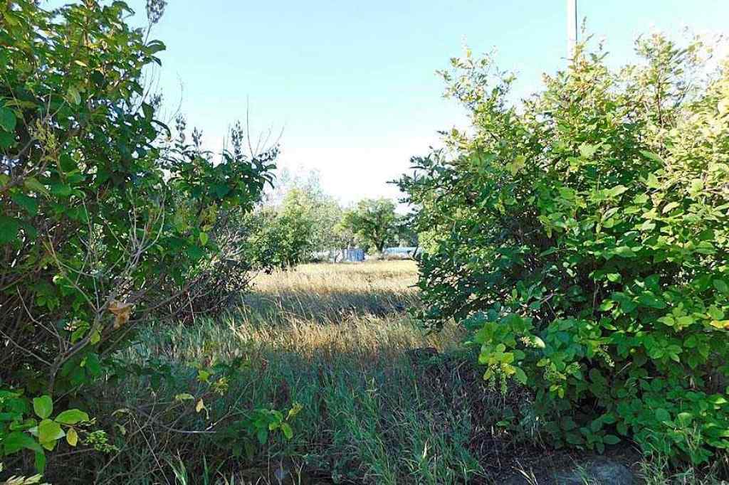 MLS® A2161425 -  Tigermoth Crescent NE in NONE Rural Willow Creek No. 26, M.D. of, Land