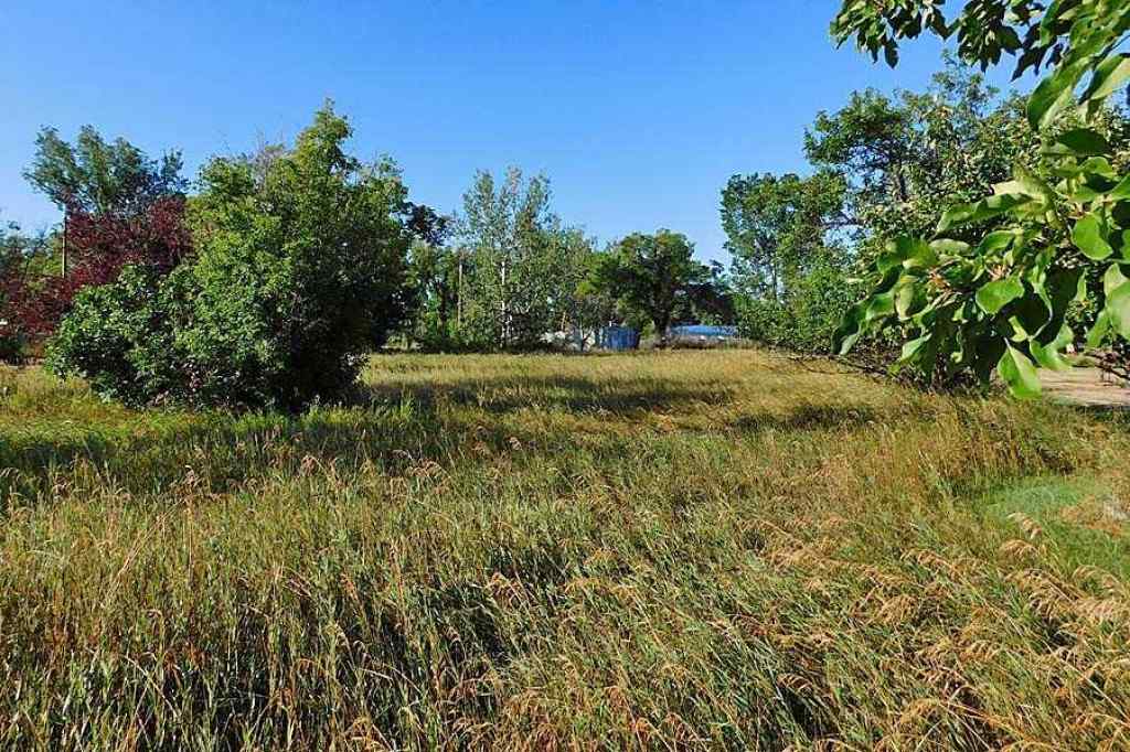 MLS® A2161425 -  Tigermoth Crescent NE in NONE Rural Willow Creek No. 26, M.D. of, Land