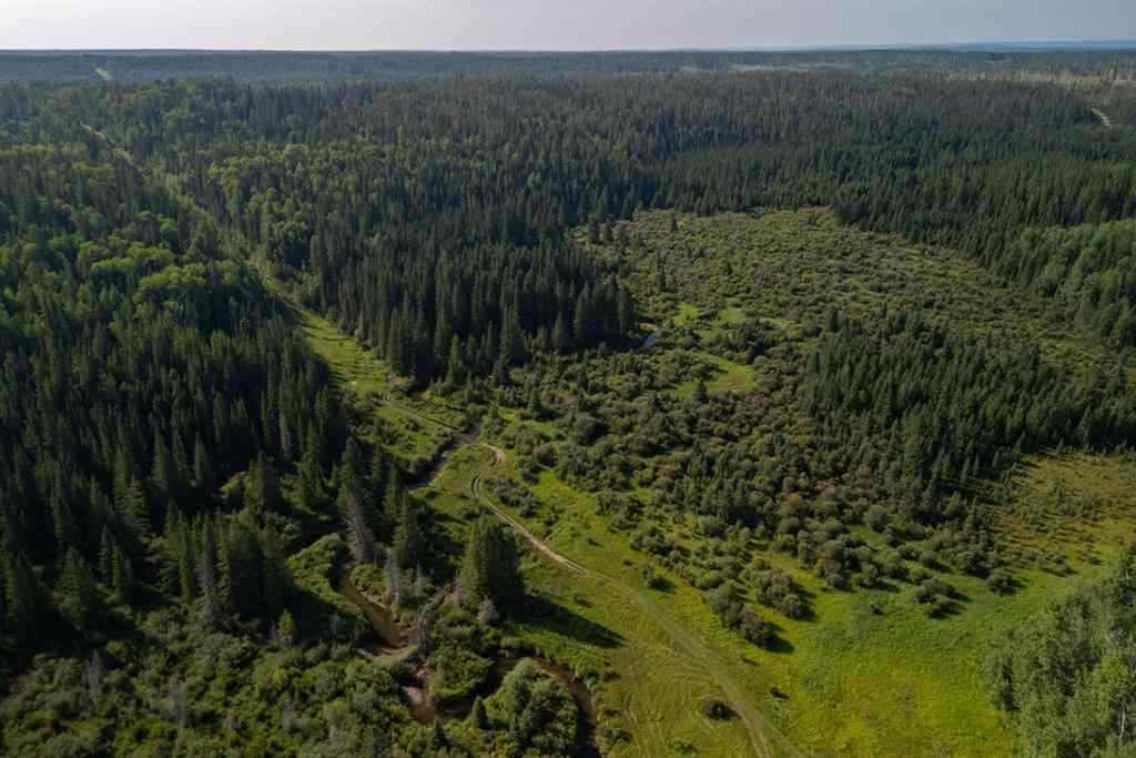 MLS® A2162513 - Limpkin Flats Twp Rd 355   in NONE Rural Clearwater County, Land