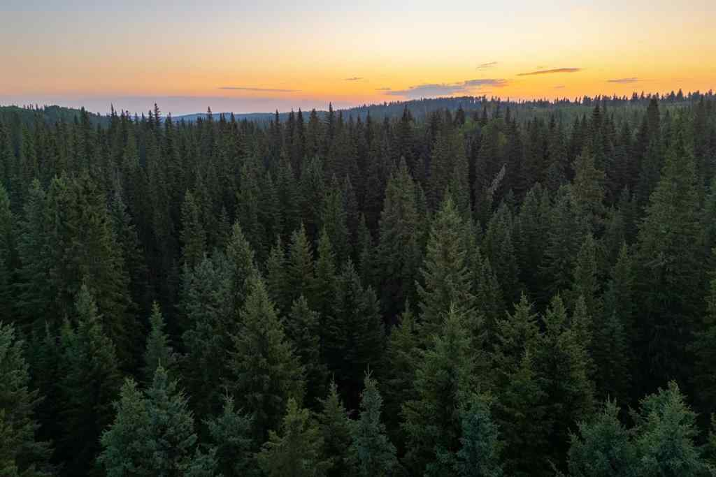 MLS® A2162513 - Limpkin Flats Twp Rd 355   in NONE Rural Clearwater County, Land