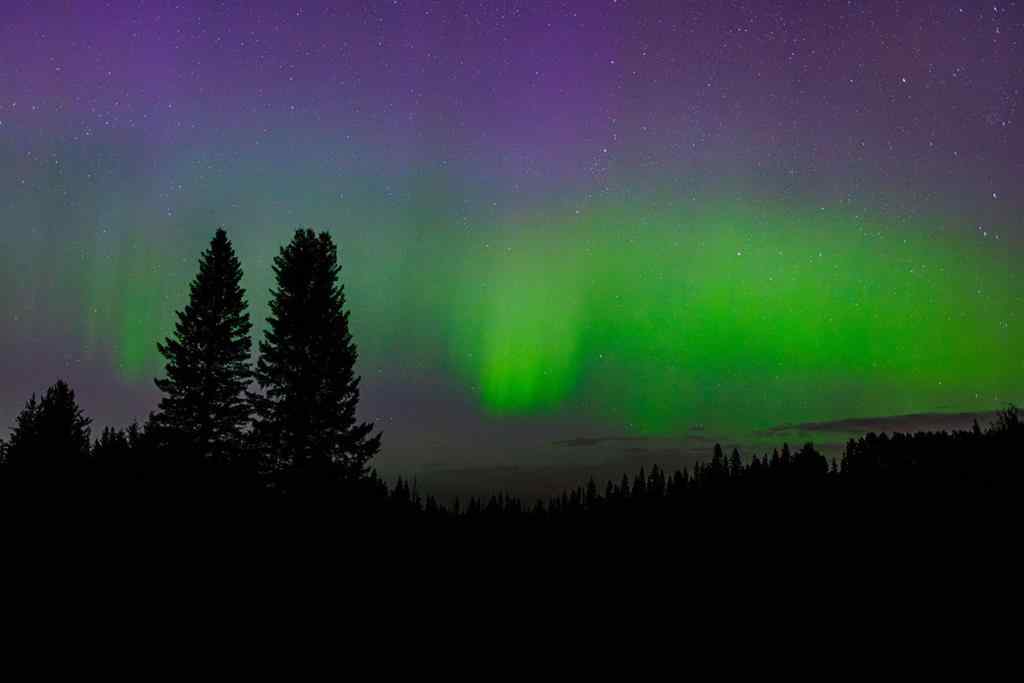 MLS® A2162513 - Limpkin Flats Twp Rd 355   in NONE Rural Clearwater County, Land