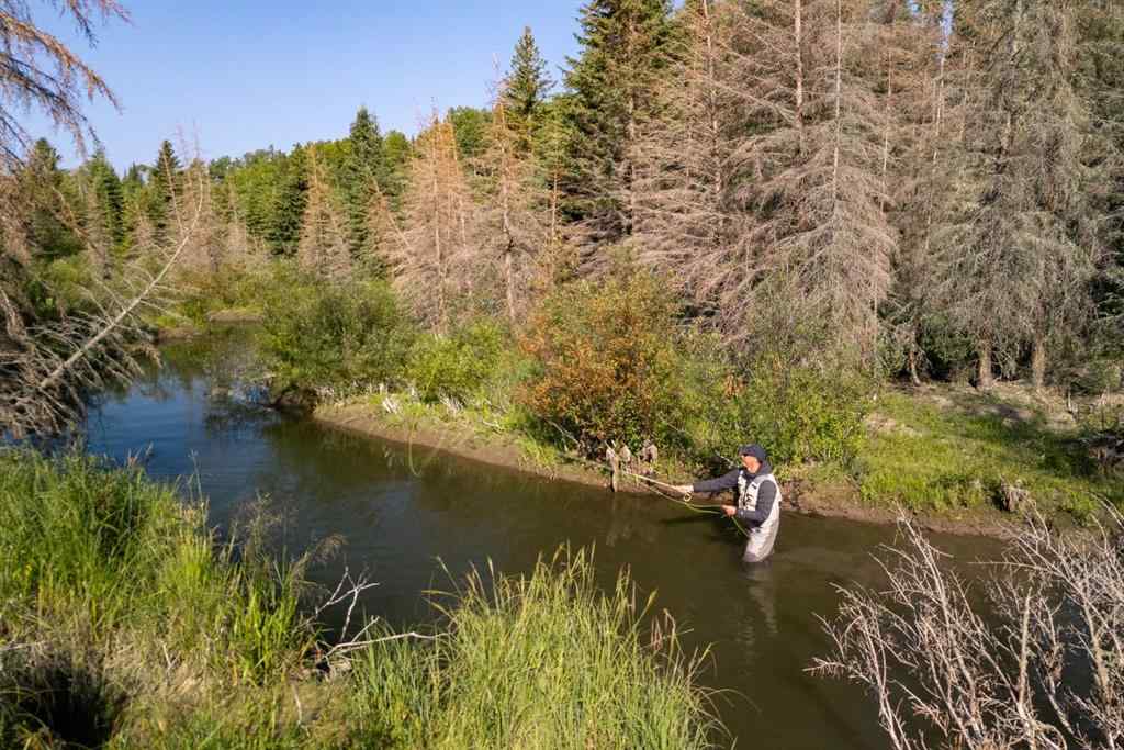 MLS® A2162513 - Limpkin Flats Twp Rd 355   in NONE Rural Clearwater County, Land