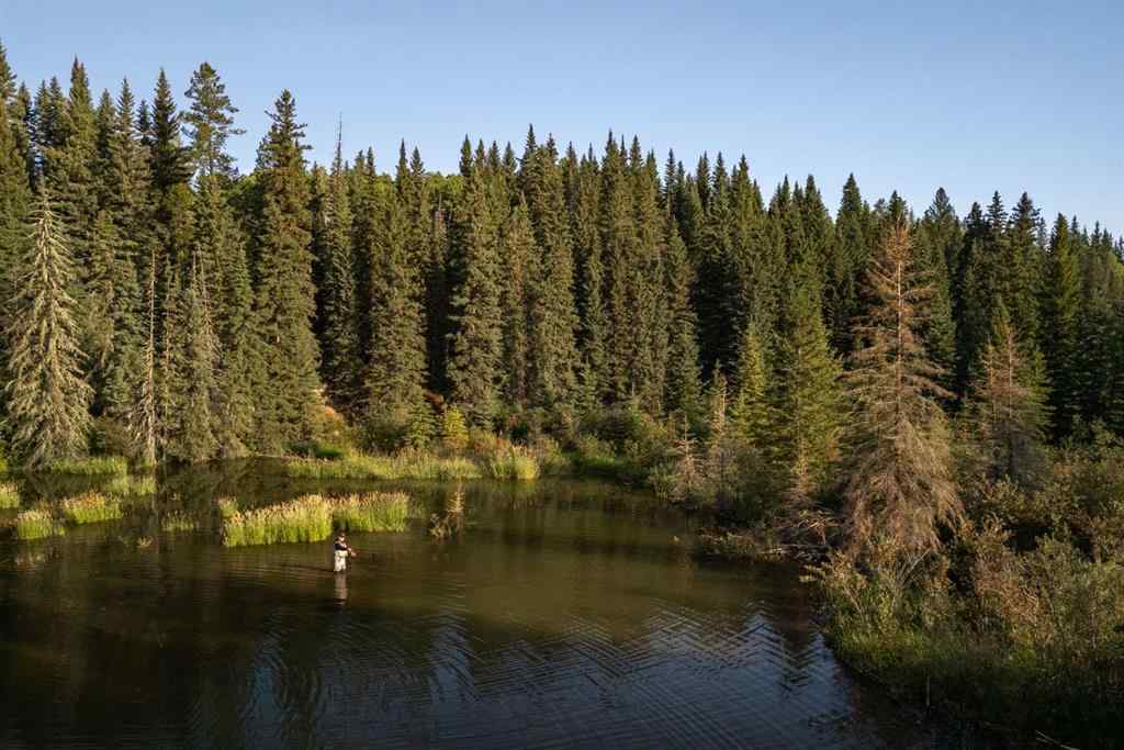 MLS® A2162513 - Limpkin Flats Twp Rd 355   in NONE Rural Clearwater County, Land
