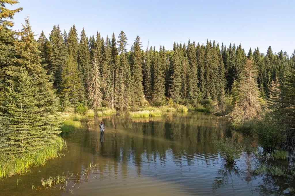MLS® A2162513 - Limpkin Flats Twp Rd 355   in NONE Rural Clearwater County, Land