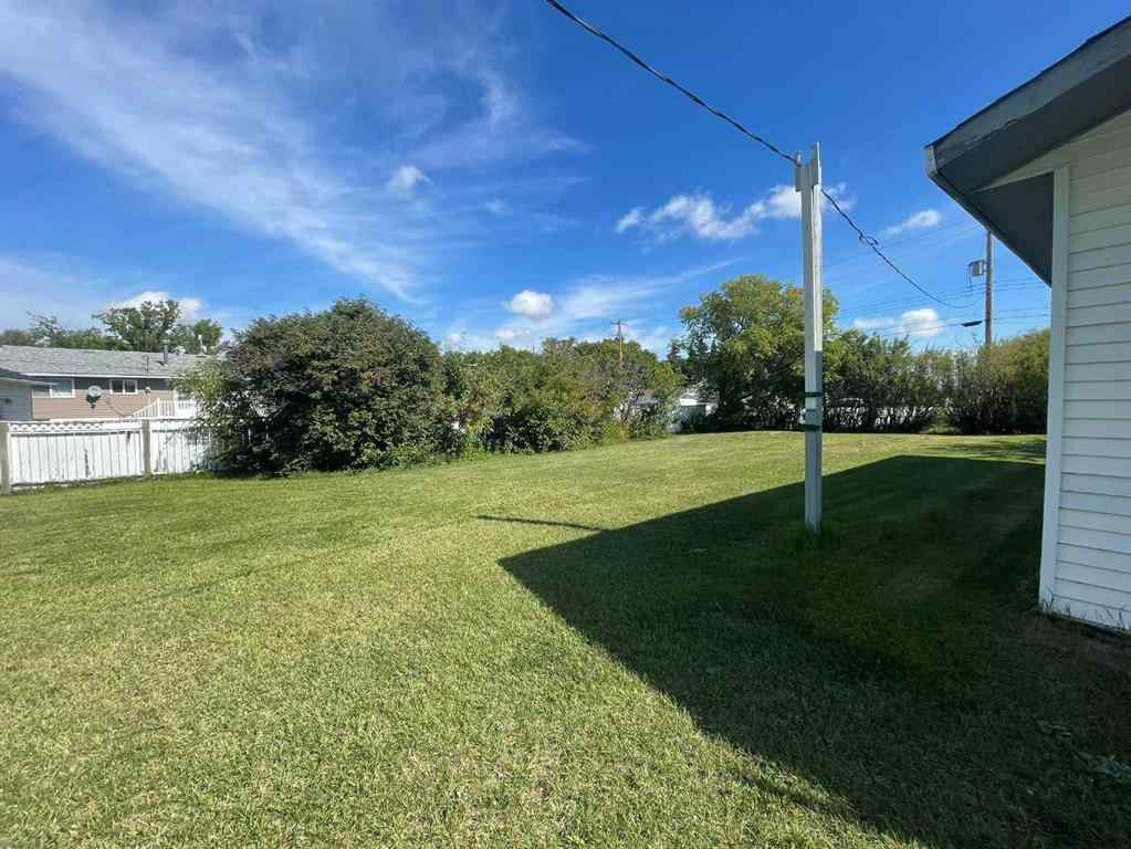 MLS® A2162946 - 4631 51 Street  in Mannville Mannville, Residential