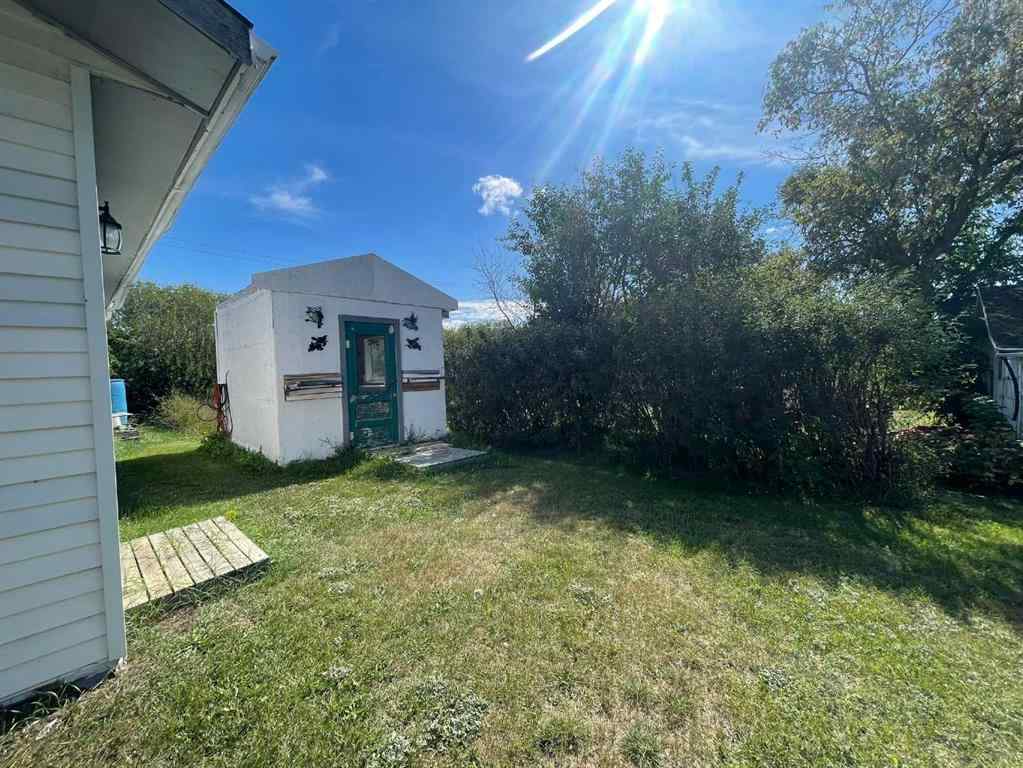 MLS® A2162946 - 4631 51 Street  in Mannville Mannville, Residential
