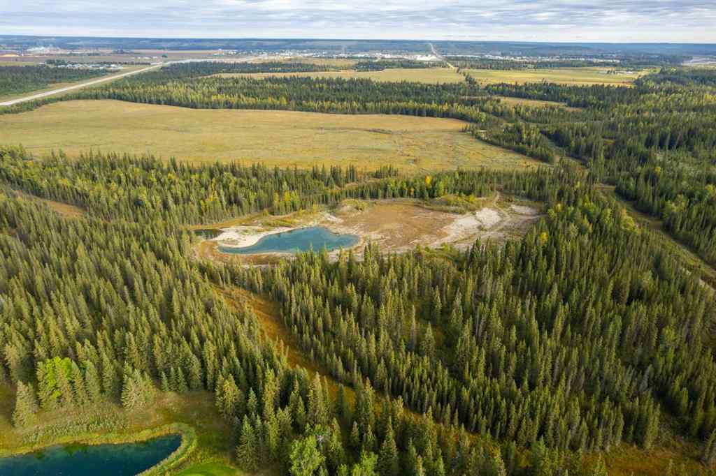 MLS® A2164124 - 32351 Range Road 55   in Coyote Creek Rural Mountain View County, Commercial