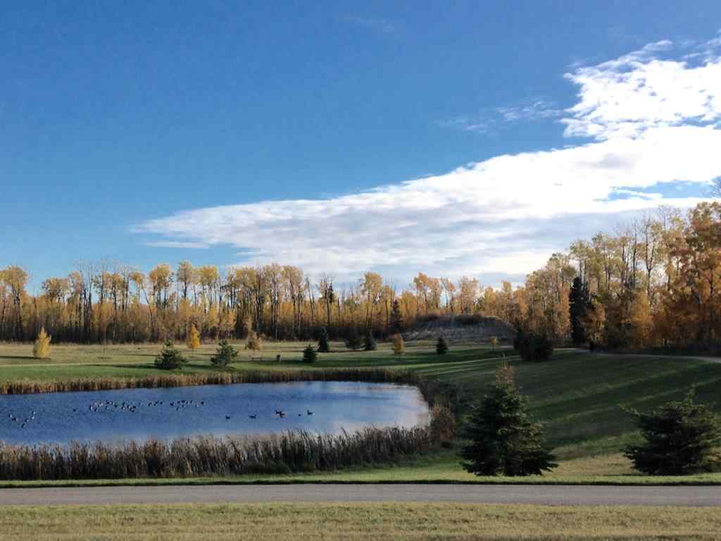 MLS® A2164585 - On 106 Street  in Stone Ridge Grande Prairie, Commercial