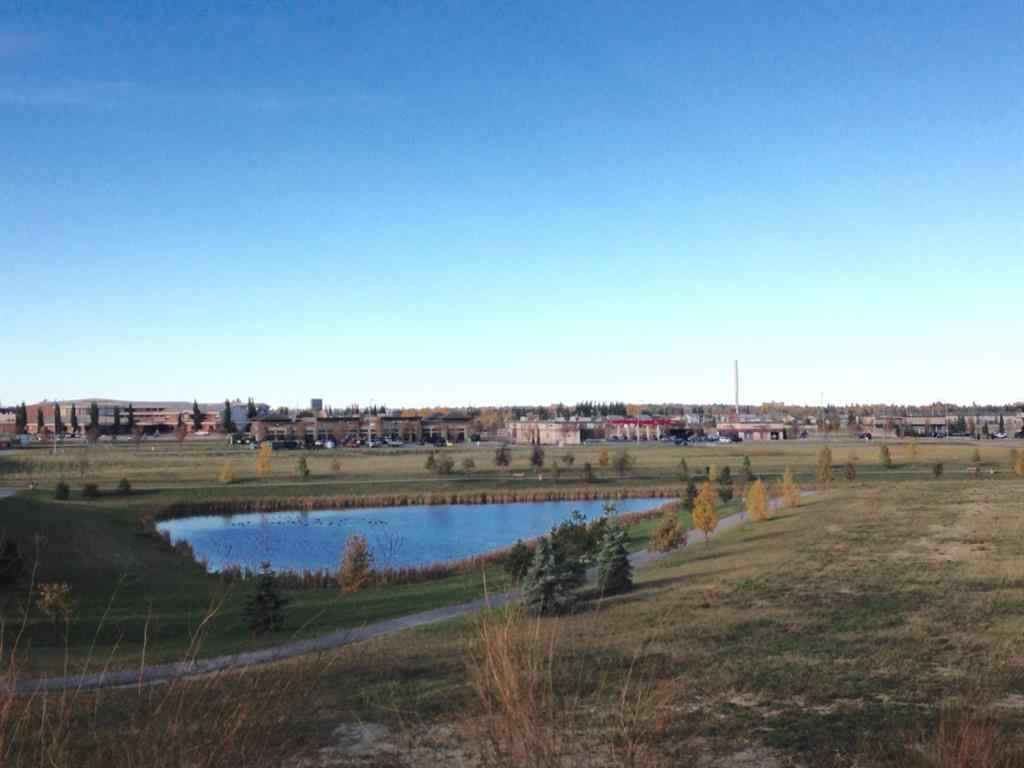 MLS® A2164585 - On 106 Street  in Stone Ridge Grande Prairie, Commercial
