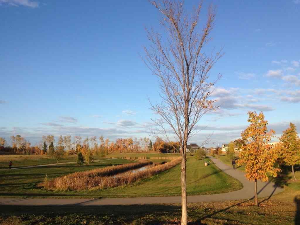 MLS® A2164585 - On 106 Street  in Stone Ridge Grande Prairie, Commercial