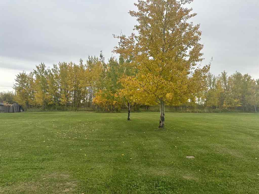 MLS® A2164919 - 9517 100 Avenue  in Lac La Biche Lac La Biche, Land