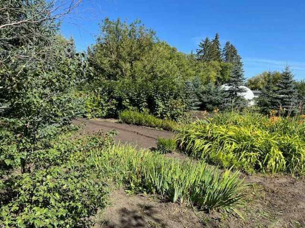 MLS® A2165014 - 14 Alberta Avenue  in NONE Erskine, Land