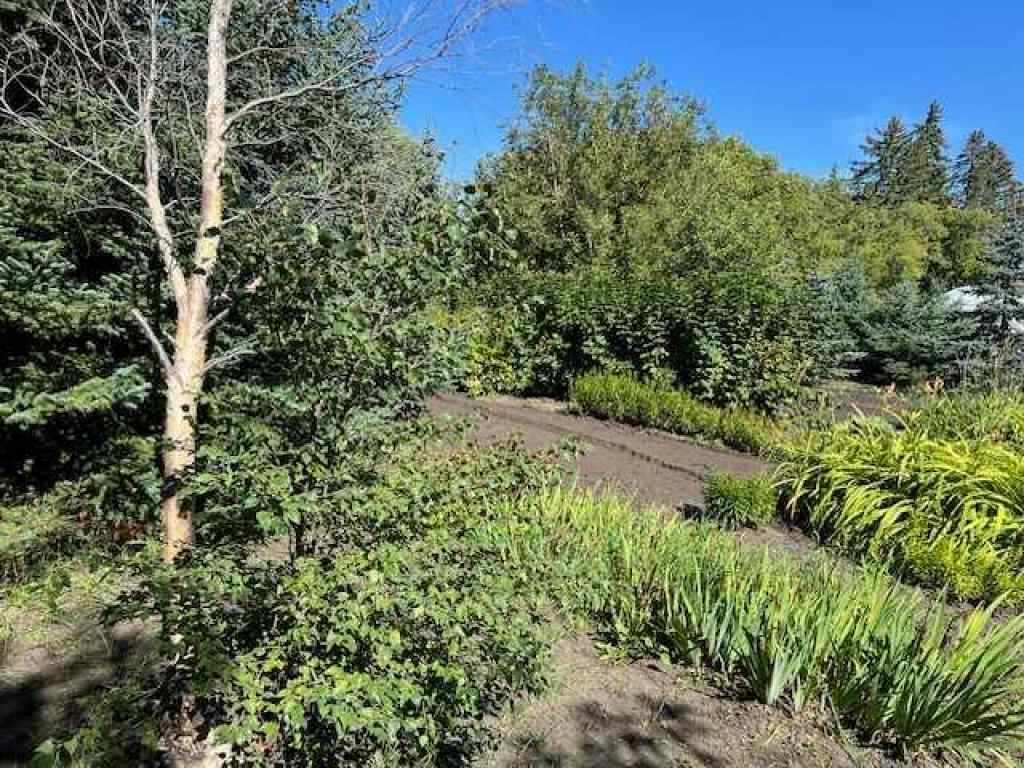 MLS® A2165014 - 14 Alberta Avenue  in NONE Erskine, Land