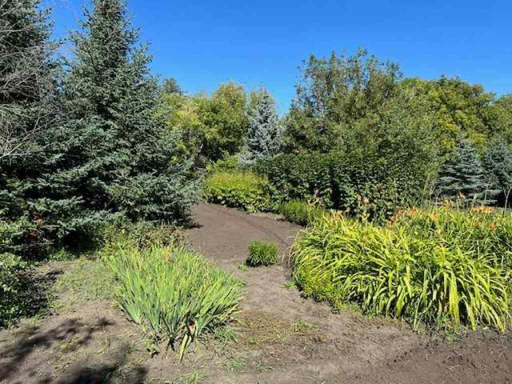 MLS® A2165014 - 14 Alberta Avenue  in NONE Erskine, Land