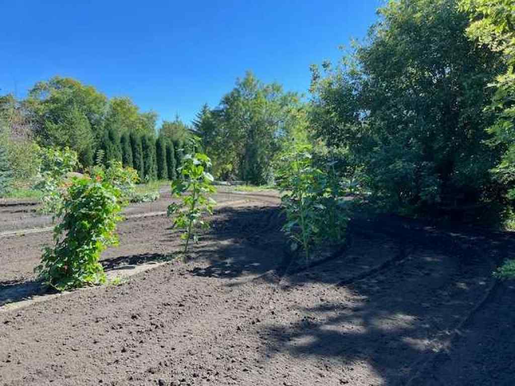 MLS® A2165014 - 14 Alberta Avenue  in NONE Erskine, Land